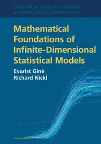 Buy Mathematical Foundations of Infinite-Dimensional Statistical Models (English, Evarist Giné | Richard Nickl) — BookShops.in