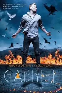 Buy Gabriel (English, Nikki Kelly) — BookShops.in