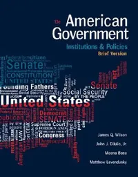 Buy American Government (English, James Wilson | John Dilulio | Meena Bose) — BookShops.in