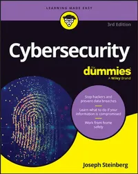 Buy Cybersecurity for Dummies (English, Joseph Steinberg) — BookShops.in
