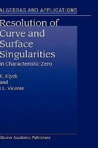 Buy Resolution of Curve and Surface Singularities (English, K. Kiyek | J. L. Vicente) — BookShops.in