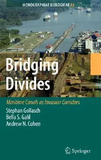 Buy Bridging Divides (English, Stephan Gollasch | Bella S. Galil | Andrew N. Cohen) — BookShops.in