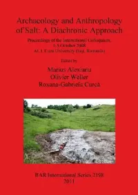 Buy Archaeology and Anthropology of Salt (English, Marius Alexianu | Olivier Weller | Roxana-Gabriela Curcă) — BookShops.in