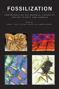 Buy Fossilization (English, Carole T. Gee | Victoria E. McCoy | P. Martin Sander) — BookShops.in