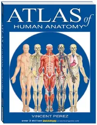 Buy Atlas of Human Anatomy (English, Vincent Perez) — BookShops.in