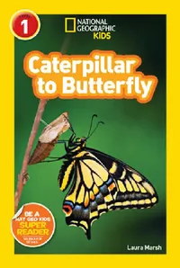 Buy Caterpillar to Butterfly (National Geographic Kids Readers, Level 1) (English, Laura Marsh | National Geographic Kids) — BookShops.in