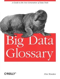 Buy Big Data Glossary (English, Pete Warden) — BookShops.in