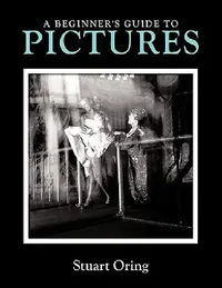 Buy A Beginner's Guide to Pictures (English, Stuart Oring) — BookShops.in