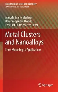 Buy Metal Clusters and Nanoalloys (English, Marcelo Mario Mariscal | Oscar Alejandro Oviedo | Ezequiel Pedro Marcos Leiva) — BookShops.in