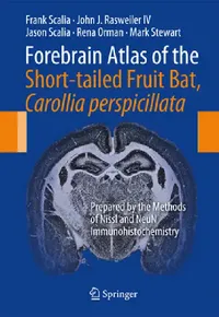 Buy Forebrain Atlas of the Short-Tailed Fruit Bat, Carollia Perspicillata (English, Frank Scalia | John J. Rasweiler IV | Jason Scalia) — BookShops.in