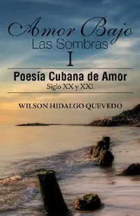 Buy Amor Bajo Las Sombras I (English, Wilson Hidalgo Quevedo) — BookShops.in