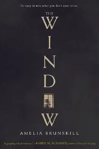 Buy The Window (English, Amelia Brunskill) — BookShops.in