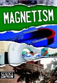 Buy Magnetism (English, Joanna Brundle) — BookShops.in