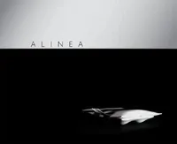 Buy Alinea (English, Grant Achatz) — BookShops.in