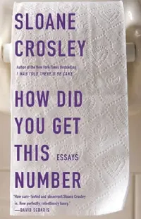 Buy How Did You Get This Number (English, Sloane Crosley) — BookShops.in