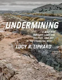 Buy Undermining (English, Lucy R. Lippard) — BookShops.in