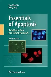Buy Essentials of Apoptosis (English, Xiao-Ming Yin | Zheng Dong) — BookShops.in