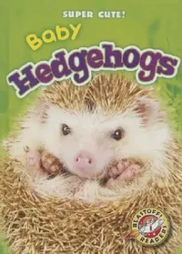 Buy Baby Hedgehogs (English, Dana Fleming | Megan Borgert-Spaniol) — BookShops.in