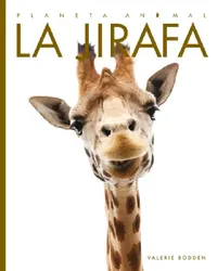 Buy La Jirafa (English, Valerie Bodden) — BookShops.in