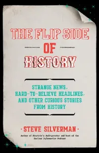 Buy The Flip Side of History (English, Steve Silverman) — BookShops.in