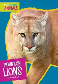 Buy Mountain Lions (English, Rachel Grack) — BookShops.in