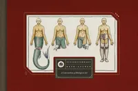 Buy Vivisectionary (English, Kate Lacour) — BookShops.in