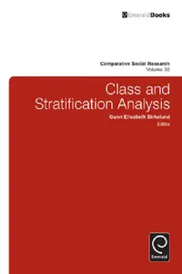 Buy Class and Stratification Analysis (English, Gunn Elisabeth Birkelund | Fredrik Engelstad) — BookShops.in