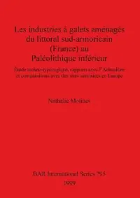 Buy Les industries à galets aménagés du littoral sud-armoricain (France) au Paléolithique inférieur (English, Nathalie Molines) — BookShops.in