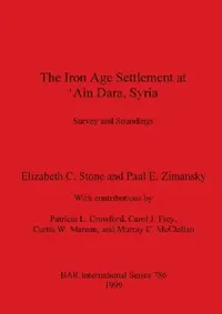 Buy The Iron Age Settlement at 'Ain Dara, Syria (English, Elizabeth C. Stone | Paul E. Zimansky) — BookShops.in