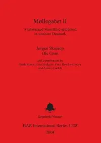 Buy Møllegabet II (English, Jørgen Skaarup | Ole Grøn) — BookShops.in