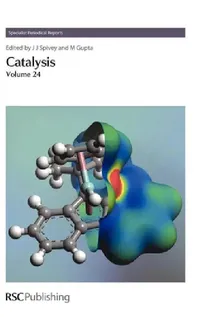 Buy Catalysis (English, James J. Spivey | Mayank Gupta) — BookShops.in