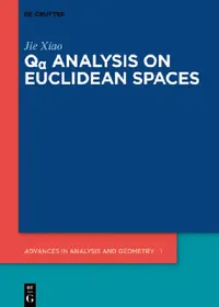 Buy Qα Analysis on Euclidean Spaces (English, Jie Xiao) — BookShops.in