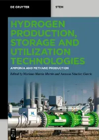 Buy Hydrogen Production, Storage and Utilization Technologies (English, Mariano Martín Martín | Antonio Sánchez García) — BookShops.in