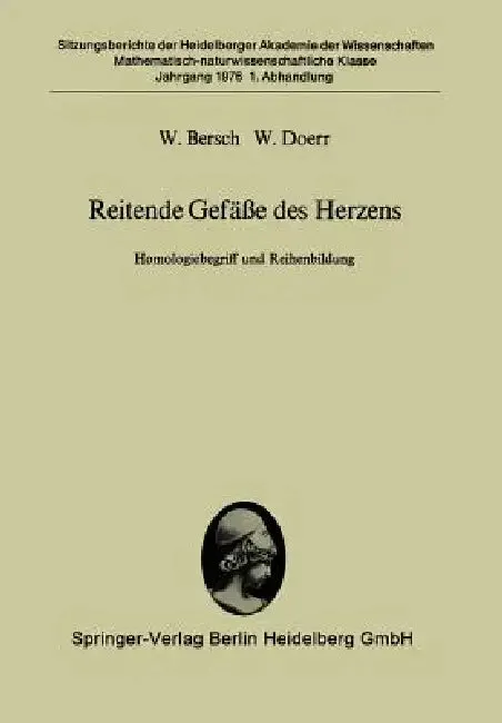 Reitende Gefäße Des Herzens (English, W. Bersch | W. Doerr)