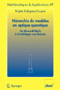 Buy Hiérarchie de Modèles En Optique Quantique (English, Brigitte Bidégaray-Fesquet) — BookShops.in