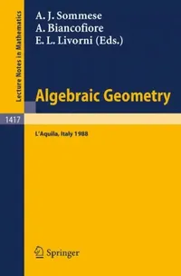 Buy Algebraic Geometry (English, Andrew J. Sommese | Aldo Biancofiore | Elvira L. Livorni) — BookShops.in
