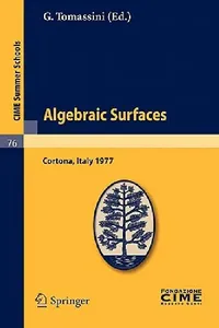 Buy Algebraic Surfaces (English, G. Tomassini) — BookShops.in