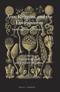 Buy Arts, Religion, and the Environment (English, Sigurd Bergmann) — BookShops.in
