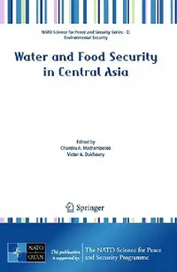 Buy Water and Food Security in Central Asia (English, Chandra Madramootoo | Victor Dukhovny | Robert S. Baker) — BookShops.in