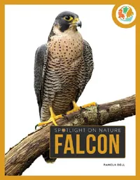 Buy Falcon (English, Pamela Dell) — BookShops.in