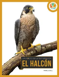 Buy El Halcón (English, Pamela Dell) — BookShops.in