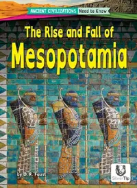 Buy The Rise and Fall of Mesopotamia (English, D. R. Faust) — BookShops.in