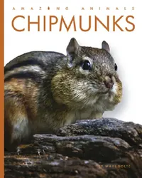 Buy Chipmunks (English, Mari Bolte) — BookShops.in
