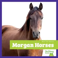 Buy Morgan Horses (English, Rachel Grack) — BookShops.in