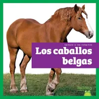 Buy Los Caballos Belgas (Belgian Horses) (English, Rachel Grack) — BookShops.in