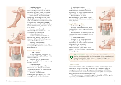 A Beginner’s Guide to Acupuncture: Treating Common Ailments Through Traditional Chinese Medicine view 7