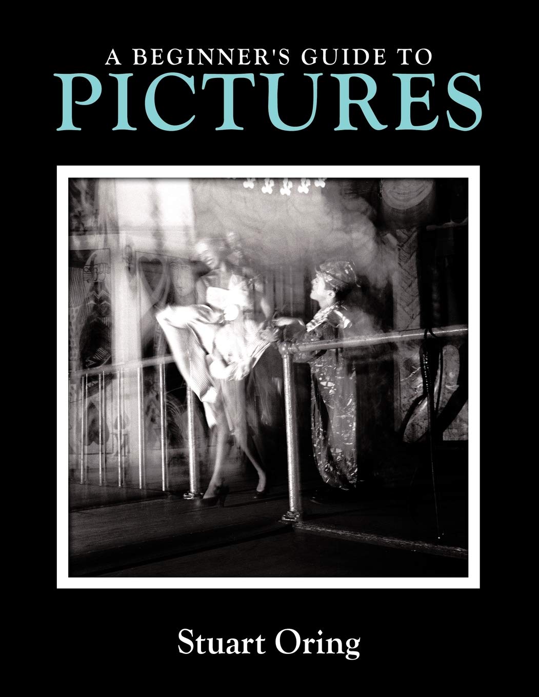 Buy A Beginner's Guide to Pictures — BookShops.in