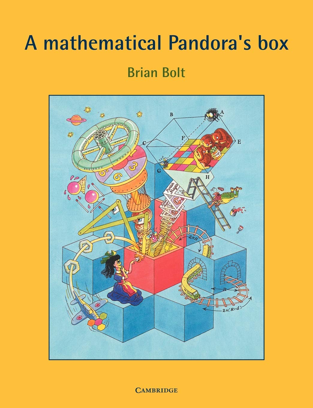Buy A Mathematical Pandora's Box by Brian Bolt — BookShops.in