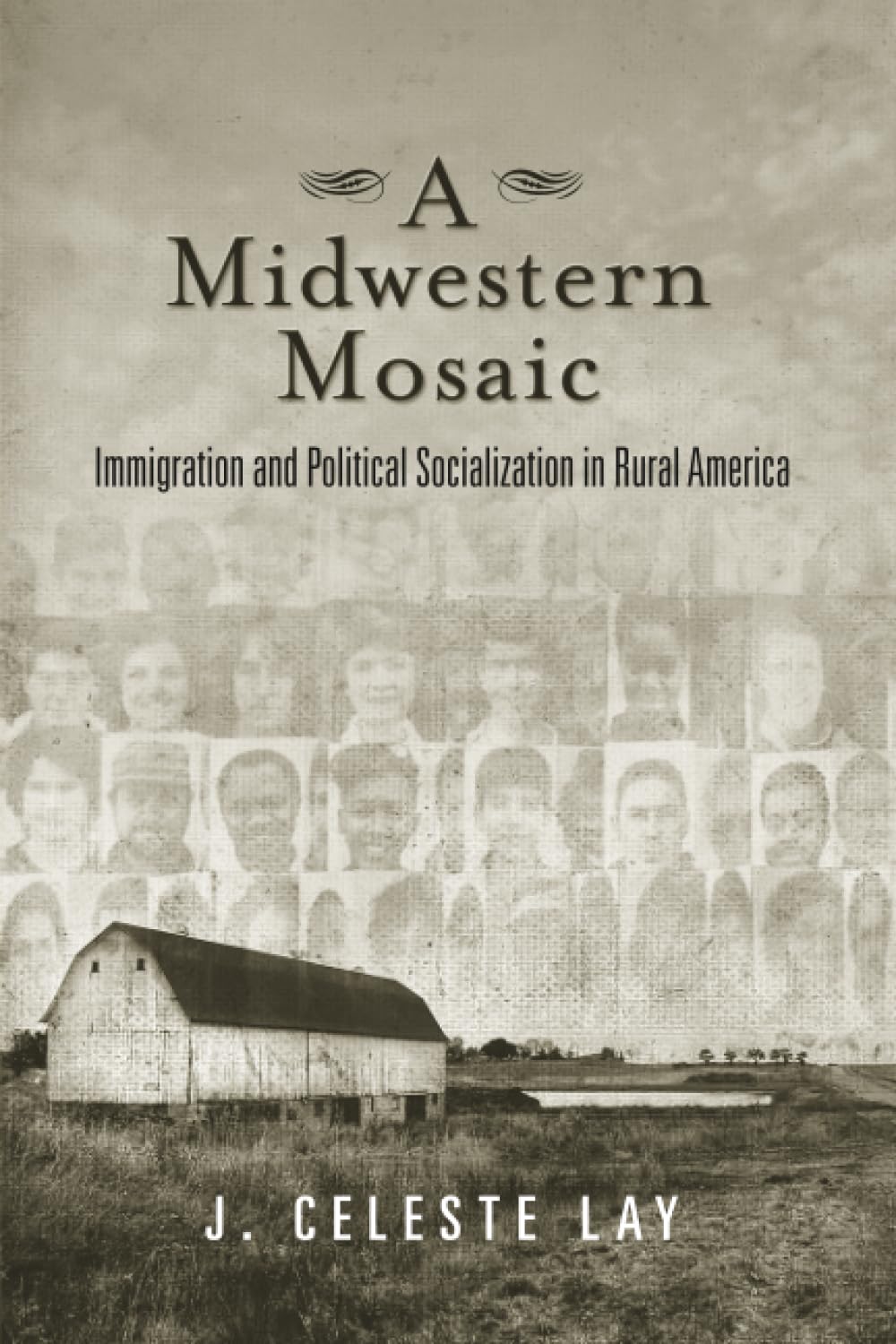 Buy A Midwestern Mosaic: Immigration and Political Socialization — BookShops.in