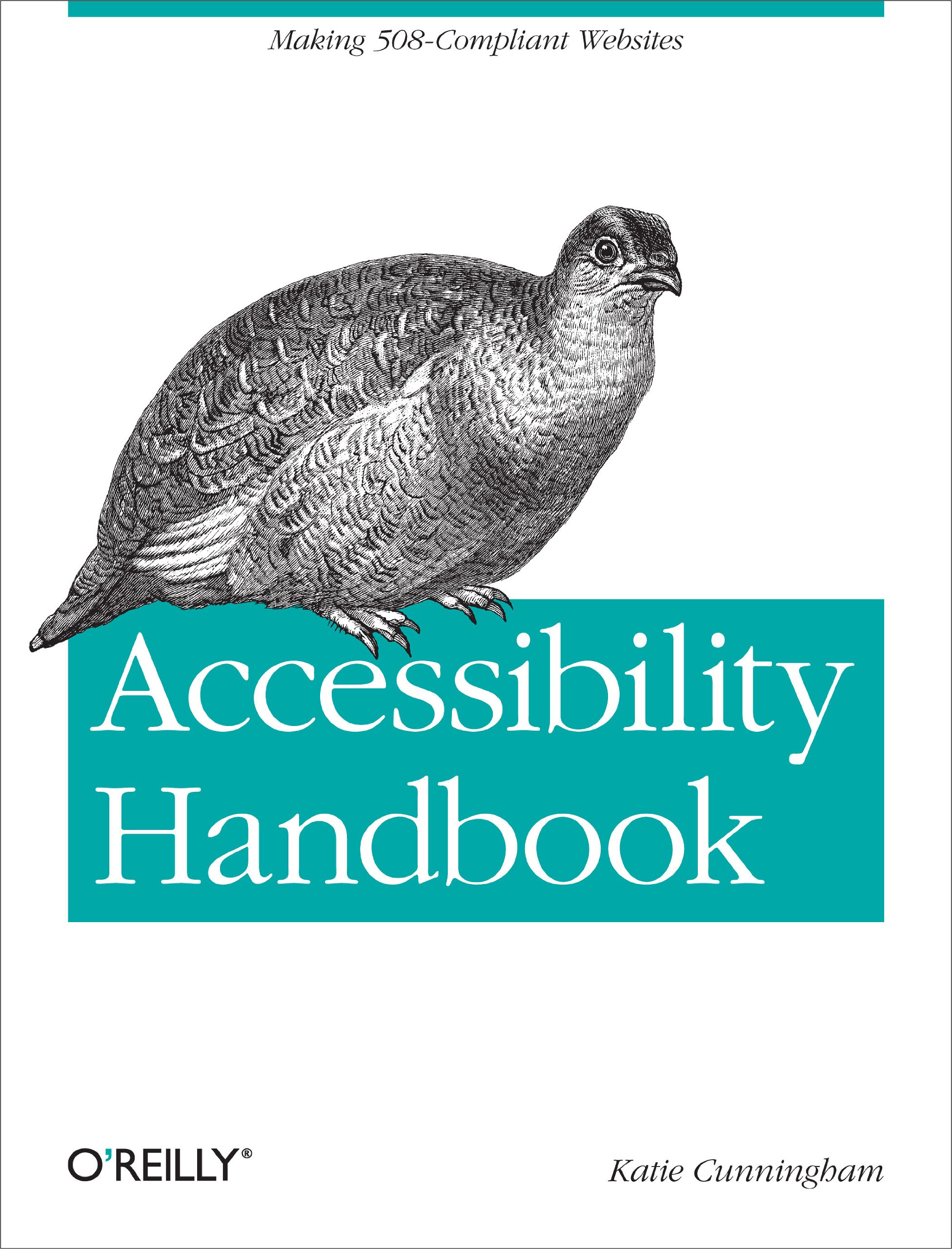 Buy Accessibility Handbook: Making 508 Compliant Websites (OREIL — BookShops.in